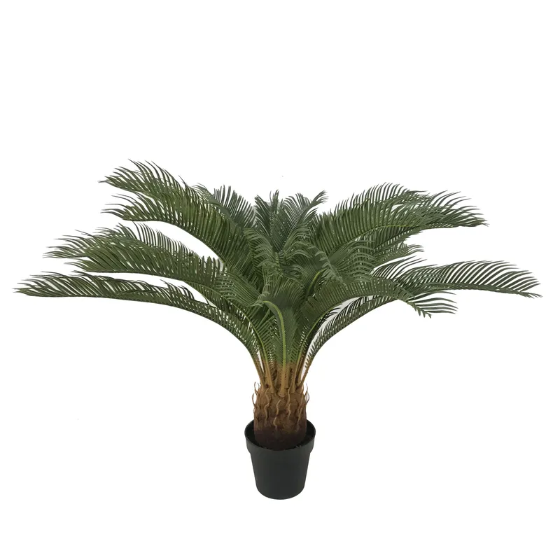 Artificial Cycas Sago Bonsai P - Home Decor Handicraft 评论和价格