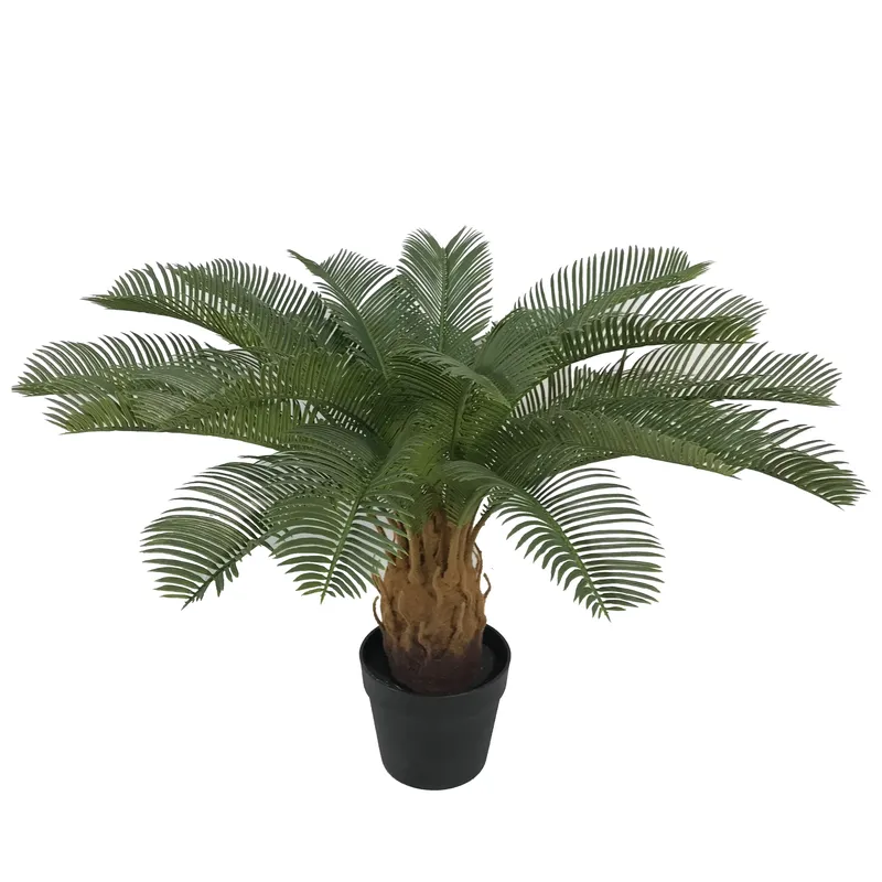 Artificial Cycas Sago Bonsai P - Home Decor Handicraft 评论和价格