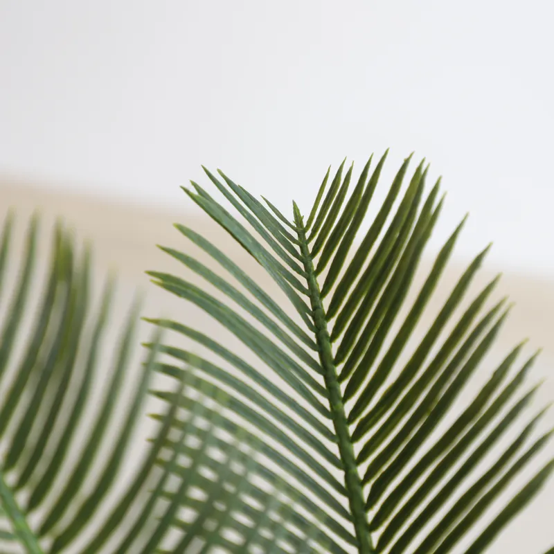 Artificial Cycas Sago Bonsai P - Home Decor Handicraft 评论和价格