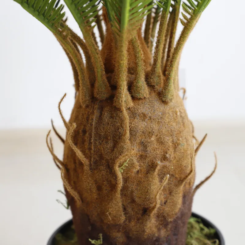 Artificial Cycas Sago Bonsai P - Home Decor Handicraft 评论和价格