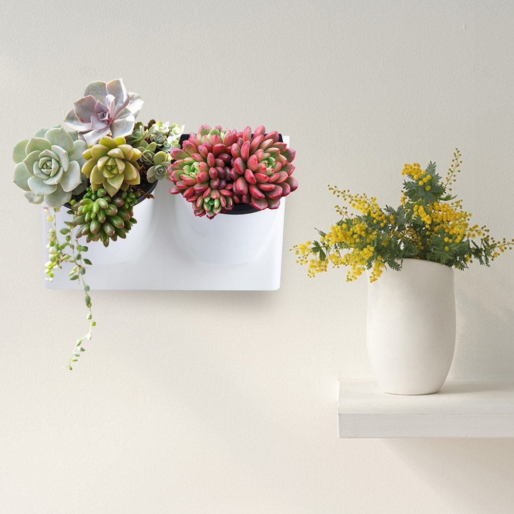 Self Watering Flower Pot Plast - Succulent Planter Pot 评论和价格