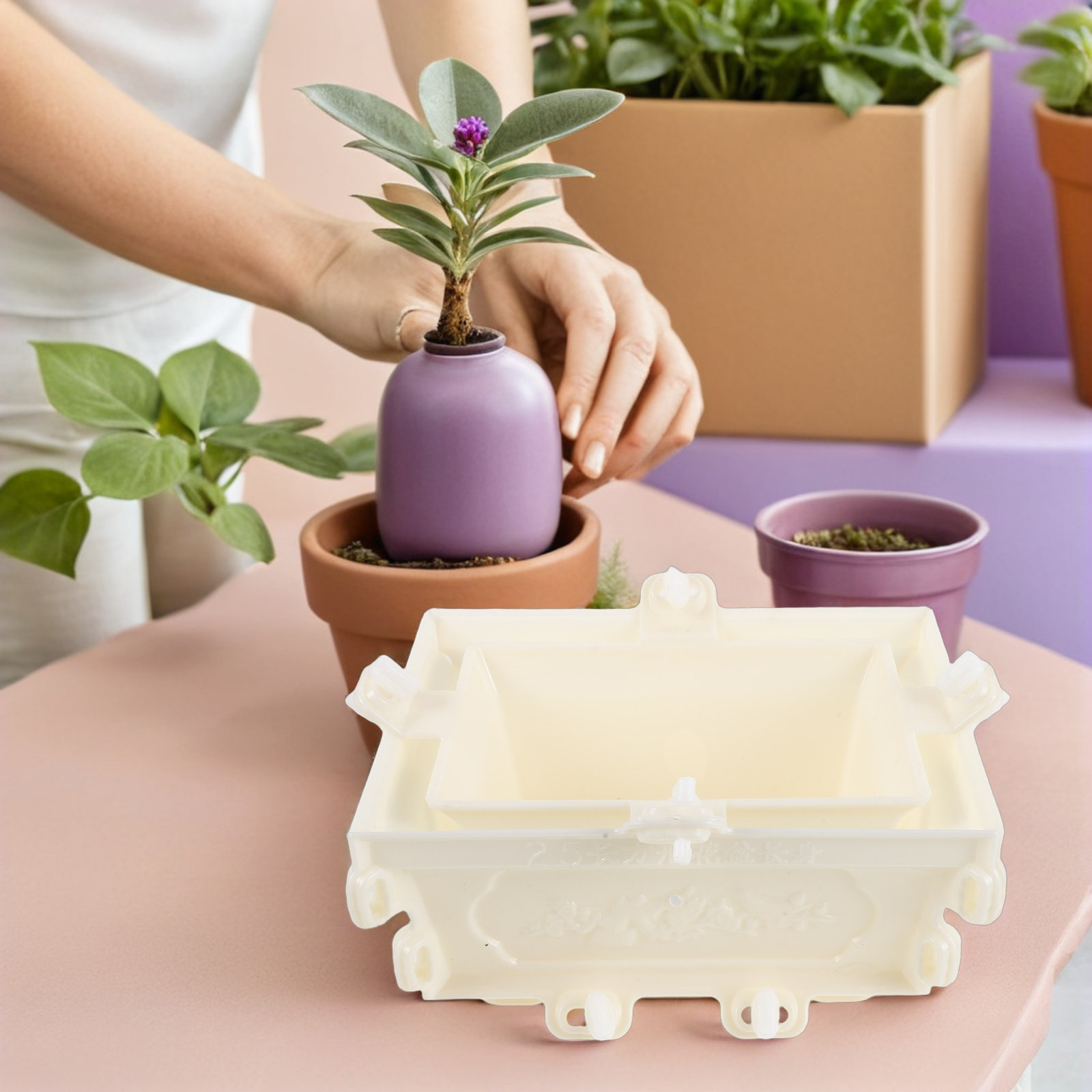 Plastic Concrete Flower Pot Mo - Succulent Planter Pot 评论和价格
