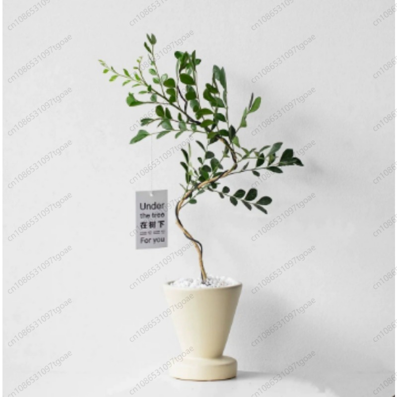 Minimalist Conical Ceramic Pla - Succulent Planter Pot 评论和价格
