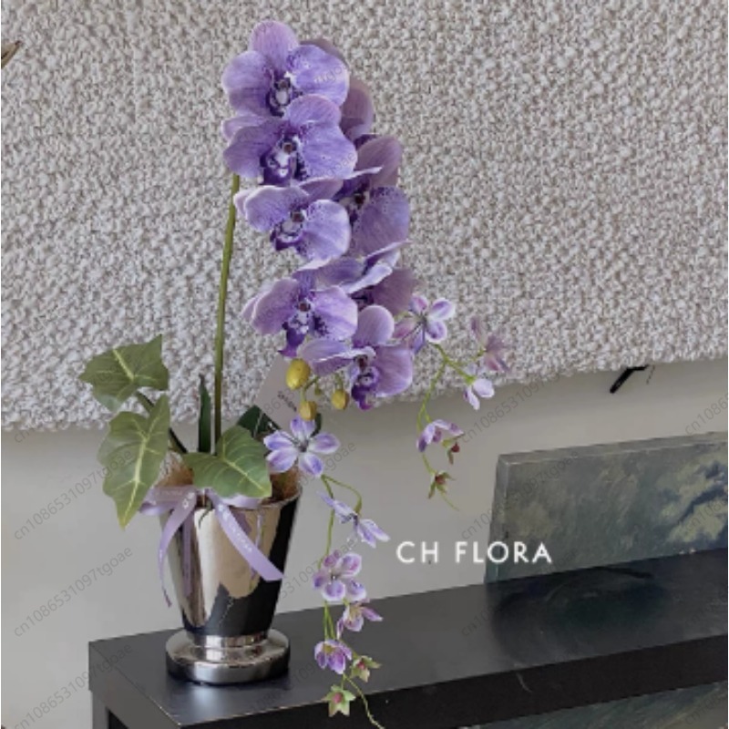 Minimalist Conical Ceramic Pla - Succulent Planter Pot 评论和价格