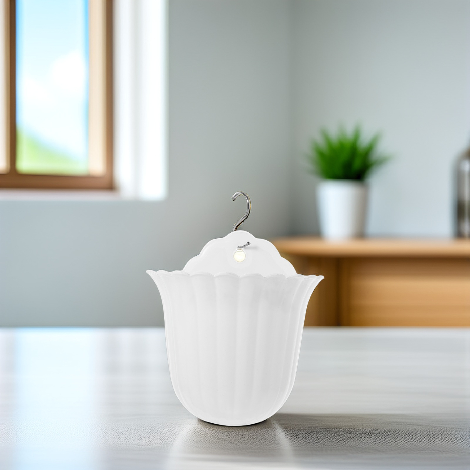 2Pcs Wall Plant Holder for Ind - Succulent Planter Pot 评论和价格