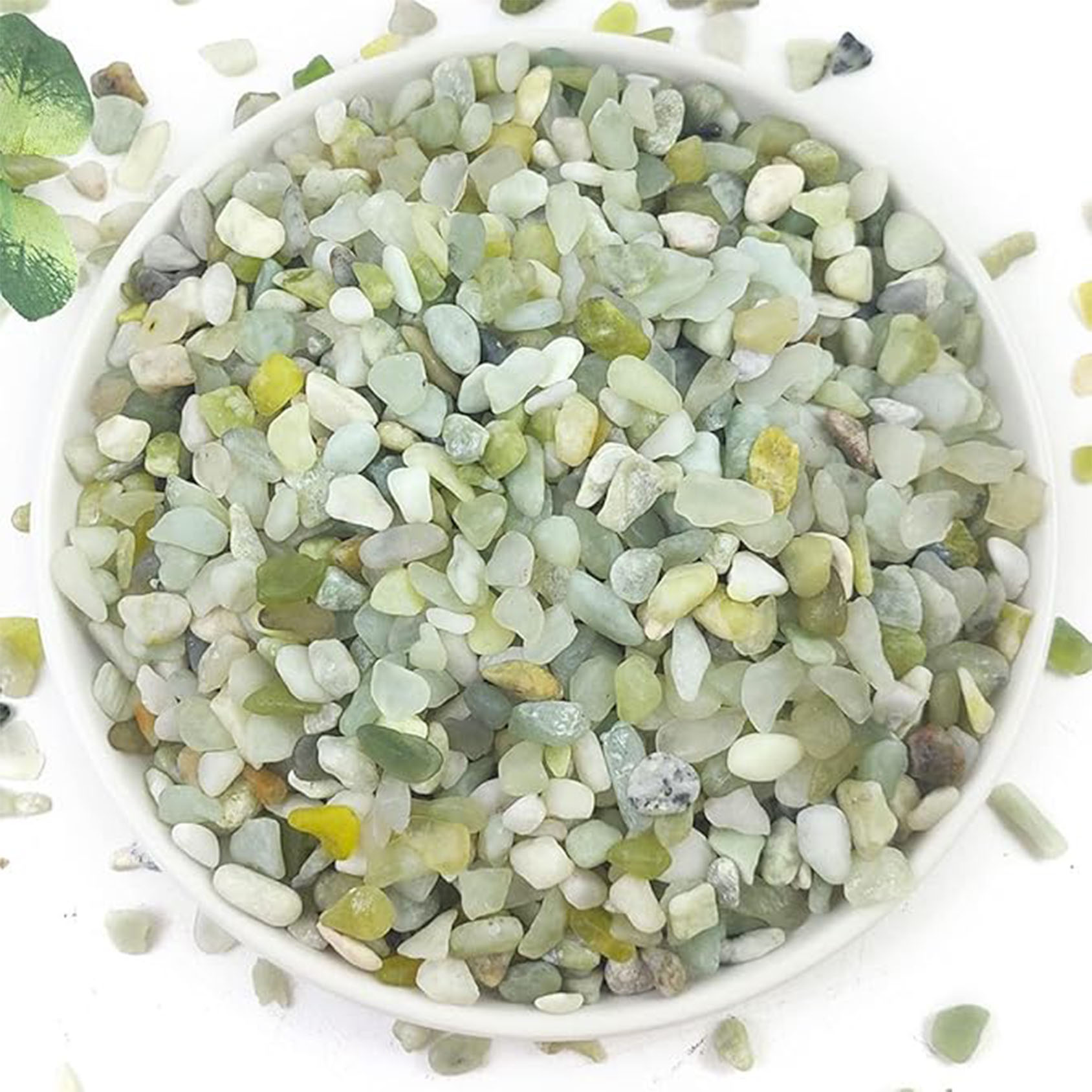 Succulent and Cactus Pebbles,  - Succulent Planter Pot 评论和价格