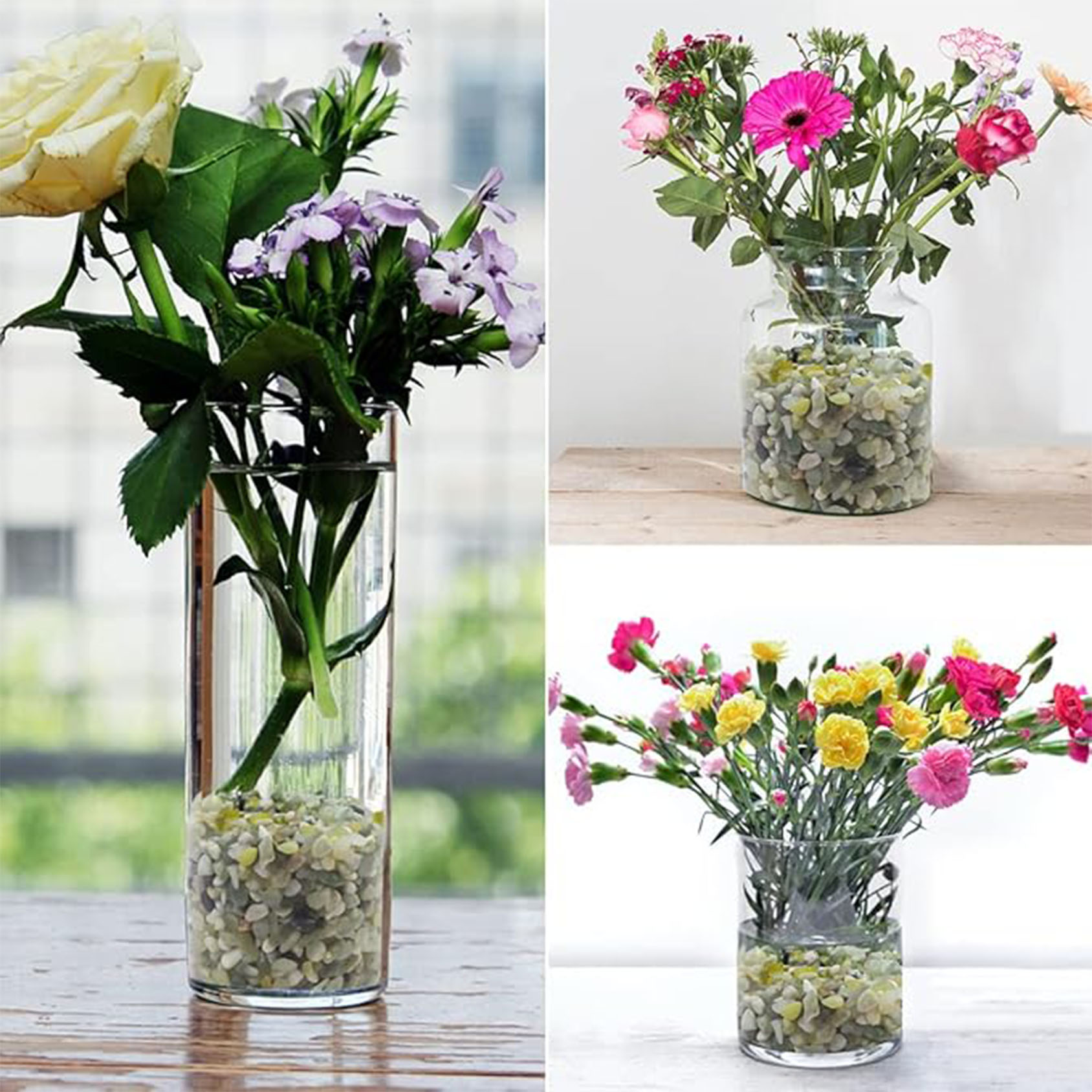 Succulent and Cactus Pebbles,  - Succulent Planter Pot 评论和价格