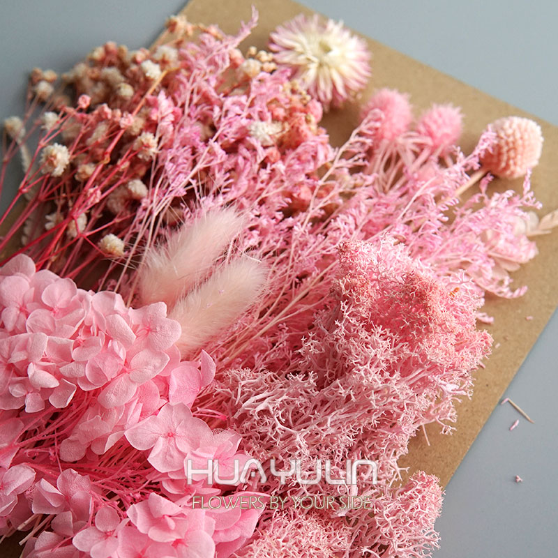 1 Pack Artificial Plants Dried - Home Decor Handicraft 评论和价格