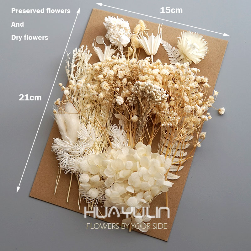 1 Pack Artificial Plants Dried - Home Decor Handicraft 评论和价格