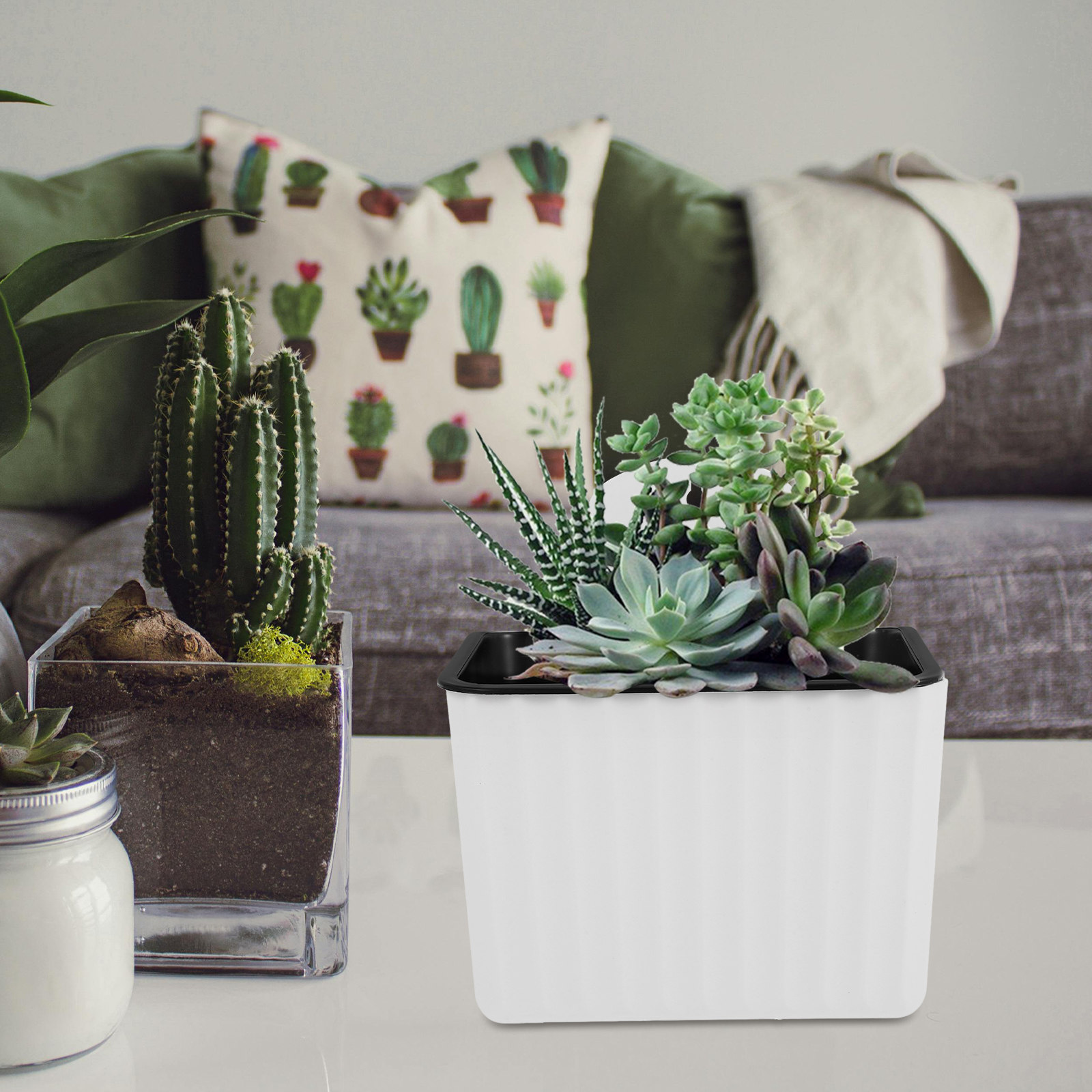 2Pcs Self Watering Flower Pots - Succulent Planter Pot 评论和价格